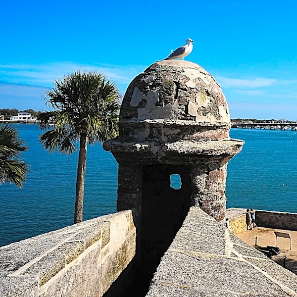 St. Augustine ranked best 'European-style' fall getaway. Here's why