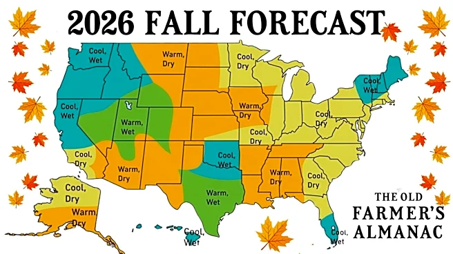 What Florida's fall weather may feel like this year