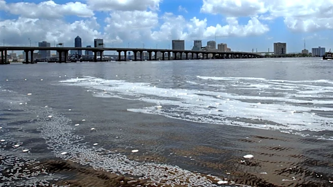 Foam sometimes emerges on the St. Johns River, learn why