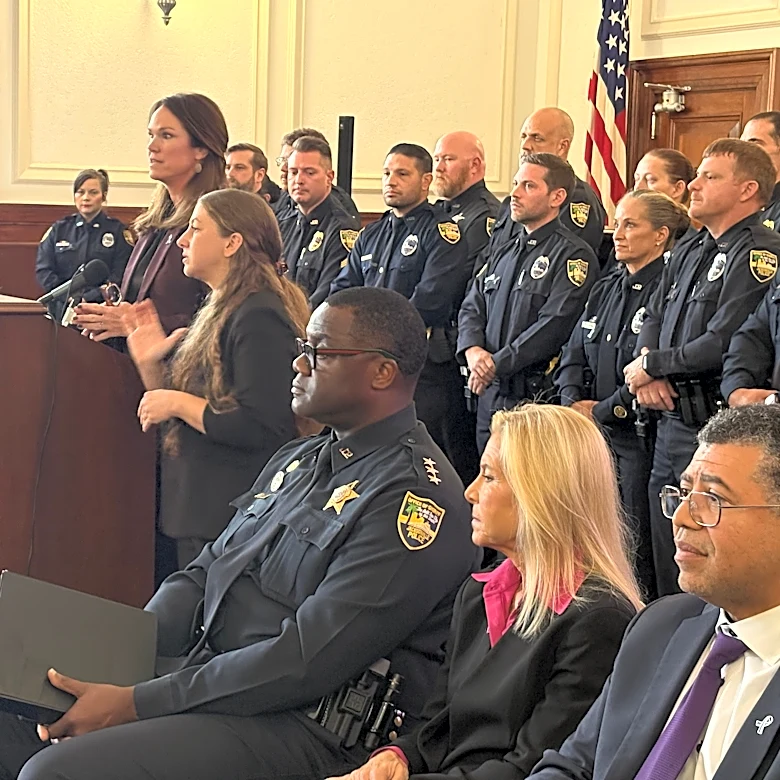 Mental health gaps fuel Duval domestic violence deaths