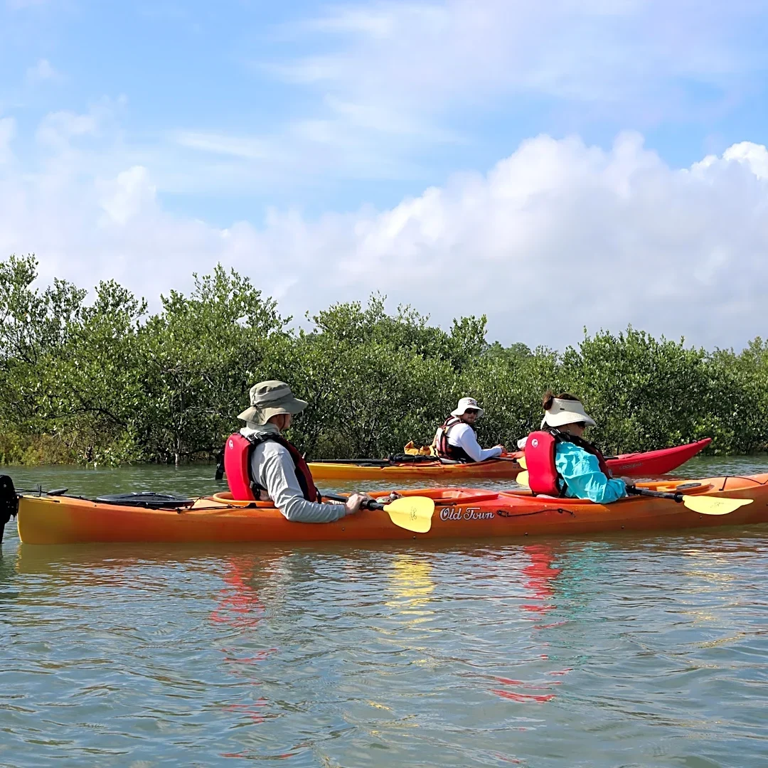 Why St. Johns County must pass conservation bond measure | Letters