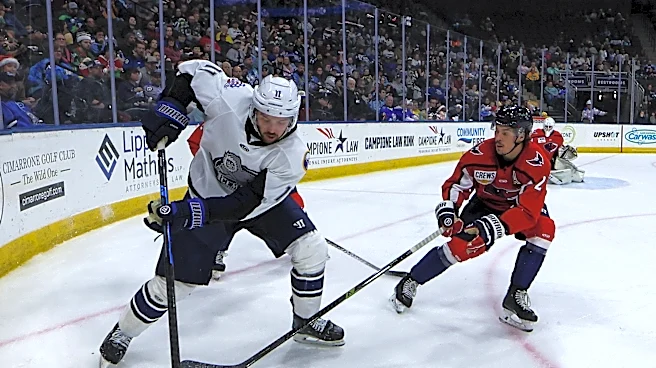 Icemen year 10 begins Friday. What's new for Jacksonville hockey?