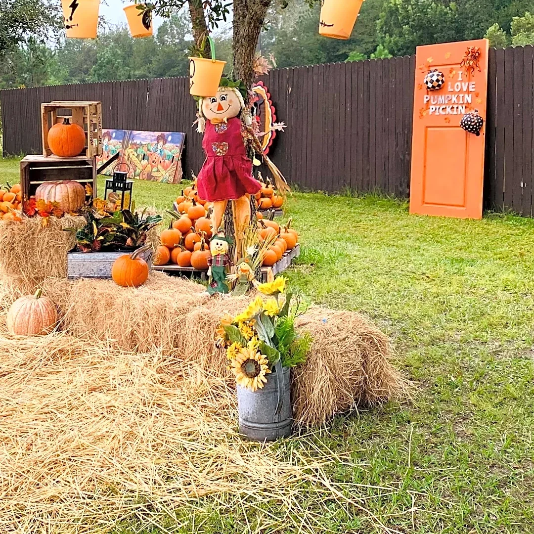 Pumpkin patches to explore in Jacksonville and St. Augustine this fall