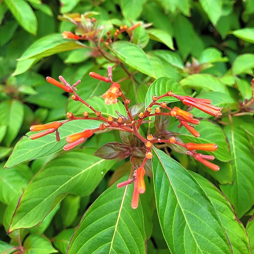 Why your garden needs a sustainable makeover now