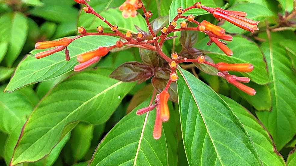 Why your garden needs a sustainable makeover now