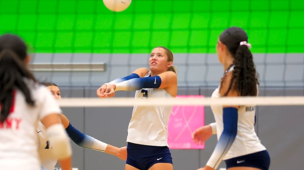 Who's in, who's out? Northeast Florida's FHSAA volleyball bracket is here