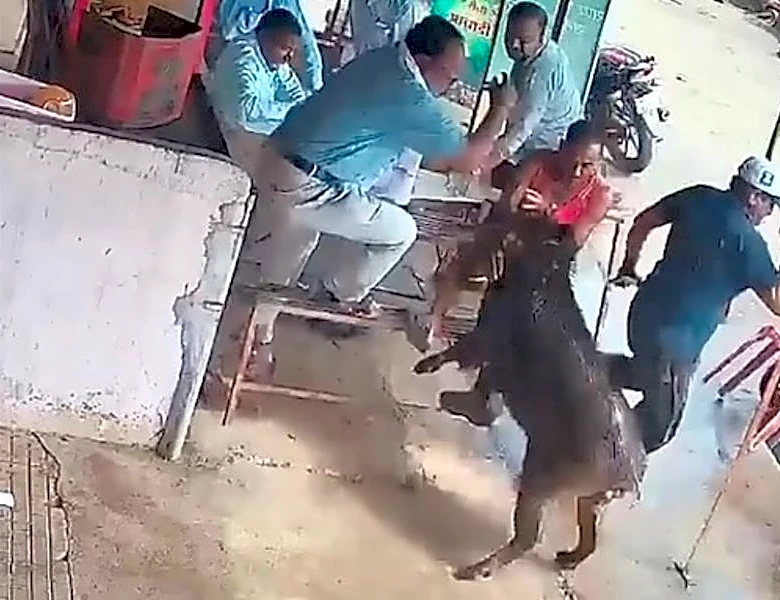 Watch: Wild boar plows into man standing in a tea house