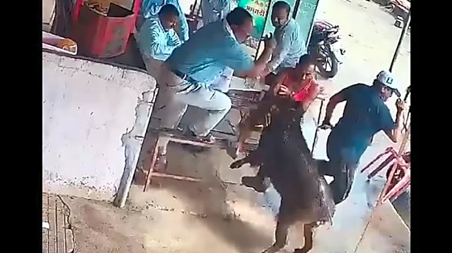 Watch: Wild boar plows into man standing in a tea house