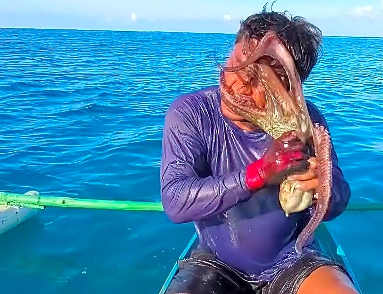 Fisherman finds himself in sticky situation as octopus fights back