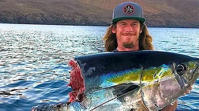 As fisherman battles giant tuna, 'taxman' comes calling