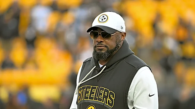 Mike Tomlin reveals a secret 'Minecraft' passion he's spent over a decade on