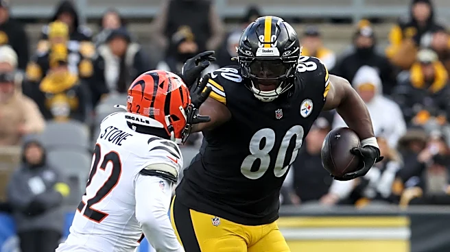 Steelers 2026 season preview: The adventures of Mike & Mike