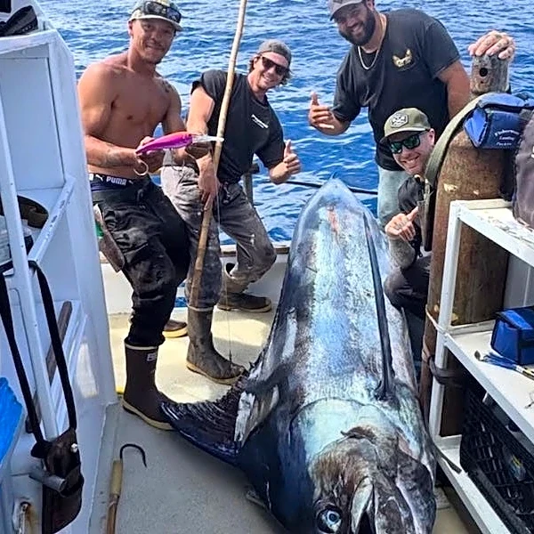 Giant blue marlin landed in rare, 'benchmark' catch off San Diego