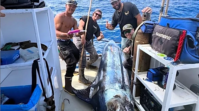 Giant blue marlin landed in rare, 'benchmark' catch off San Diego