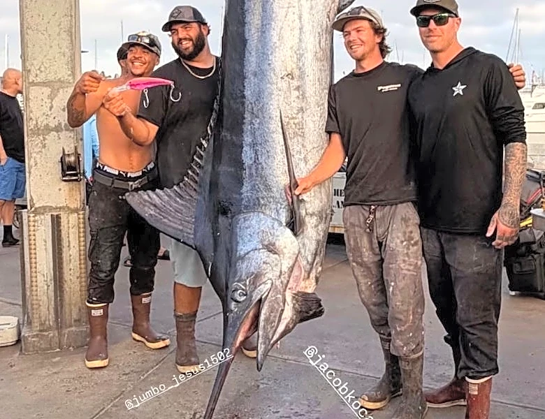 Massive blue marlin caught off San Diego dubbed 'El Niño fish'