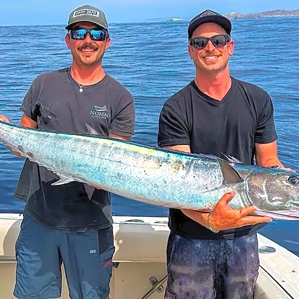Wahoo, among the world's fastest game fish, zoom into SoCal spotlight