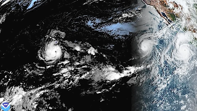 Hurricane Polo packing 'catastrophic' winds as it barrels toward Baja