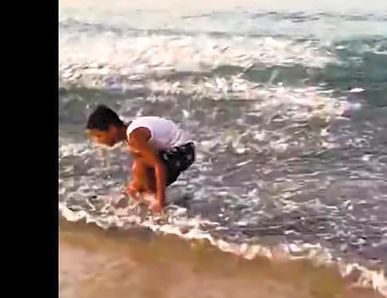 Frenzied fish leap onto shore as Hurricane Polo approaches Baja