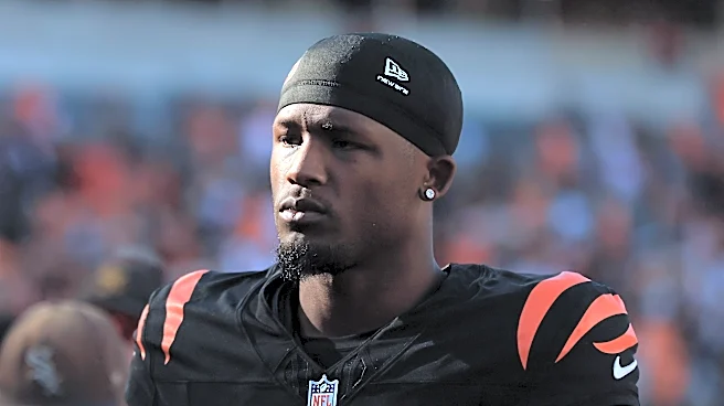 Bengals coach shared a grim update on Tee Higgins' injury