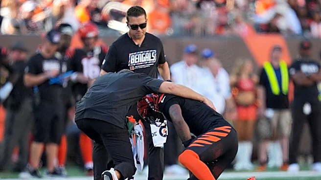 Mike Gesicki explained how Tee Higgins' injury played role in Bengals missing winning TD