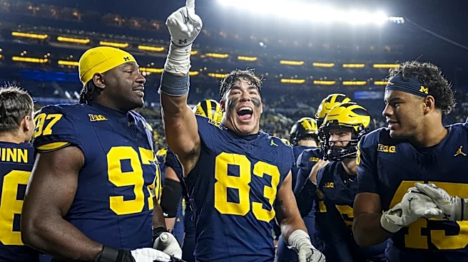 Michigan TE apologizes for leaked texts bashing Wolverine coaches
