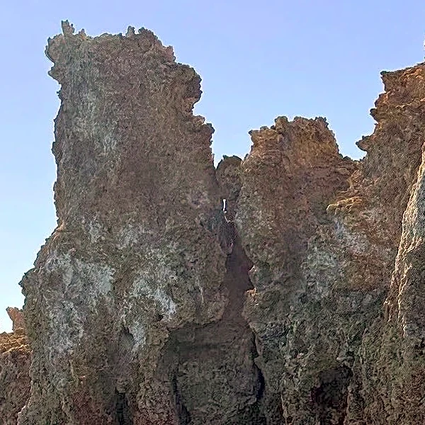 Can you spot the great horned owl roosting in tufa tower at Mono Lake?