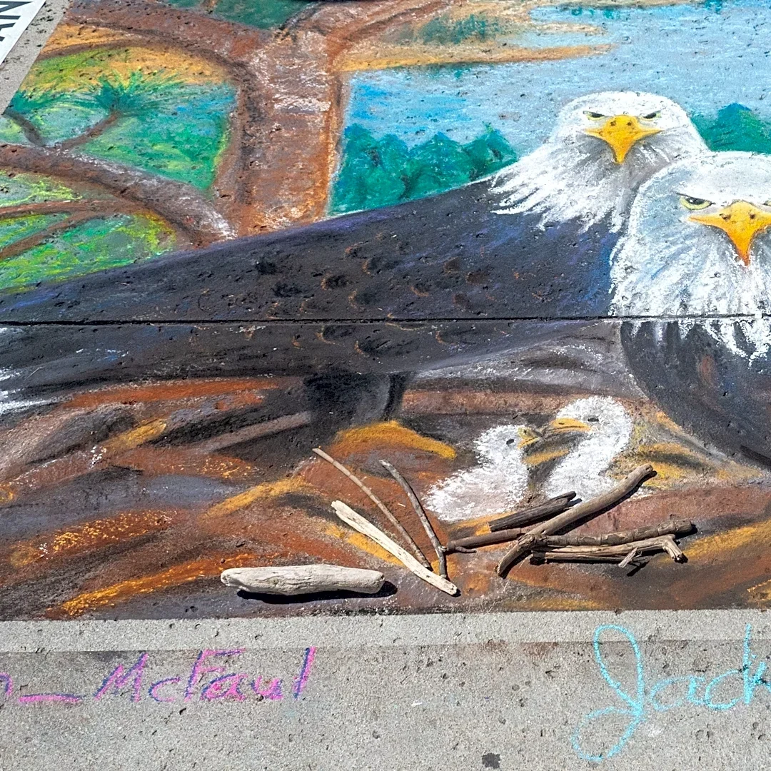 Jackie the Big Bear bald eagle cause of death: Update reveals what happened