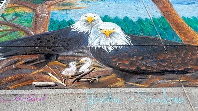Jackie the Big Bear bald eagle cause of death: Update reveals what happened