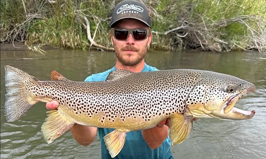 Latest brown trout record surprises Idaho Fish and Game