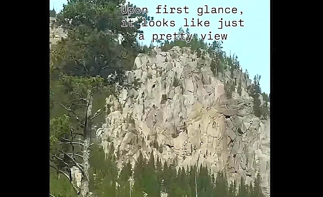 Can you spot the Yellowstone mountain goat in a precarious position?