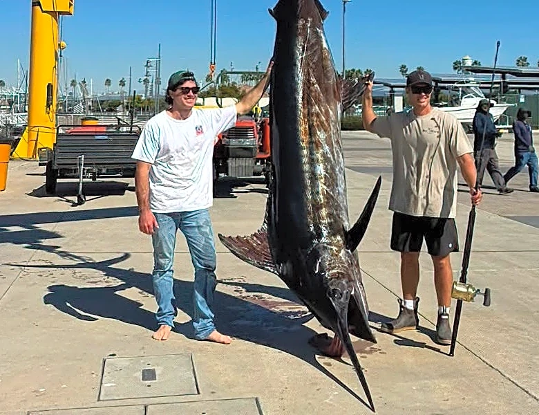 'One for the books' as massive blue marlin is caught off L.A. County