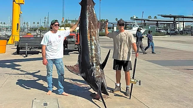 'One for the books' as massive blue marlin is caught off L.A. County
