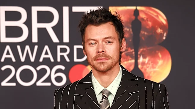 Harry Styles paid homage to his 2010 'X-Factor' audition: 'I work in a bakery'