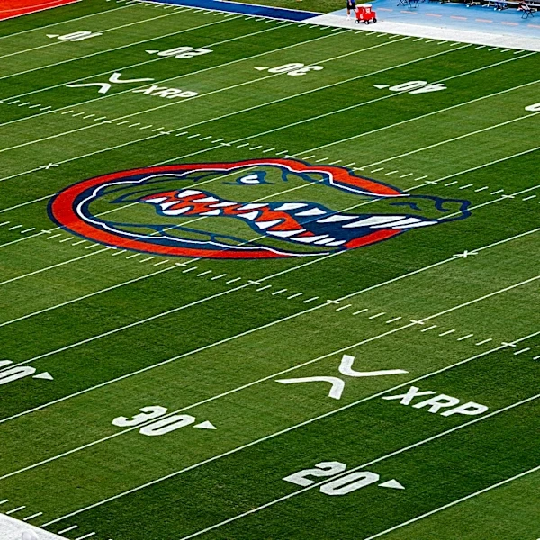 Florida vs Campbell predictions, picks, odds: Thursday's betting lines
