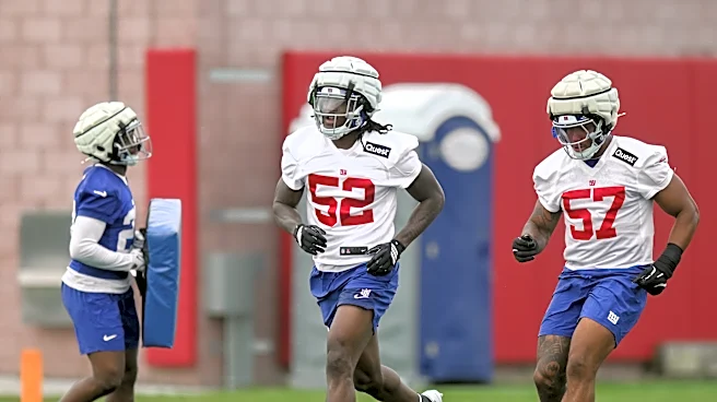 Can Arvell Reese win DROY without traditional edge rush production?