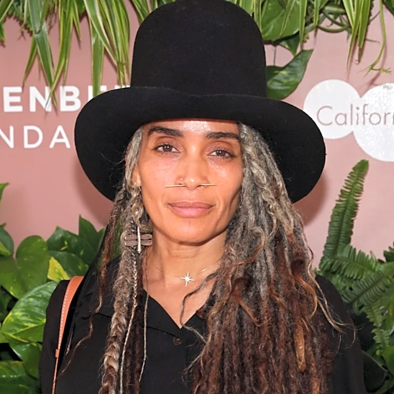 Lisa Bonet's Stunning Gray Hair Evolution, In Photos