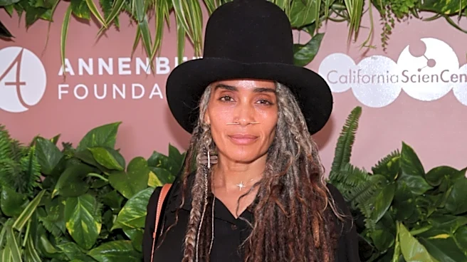 Lisa Bonet's Stunning Gray Hair Evolution, In Photos
