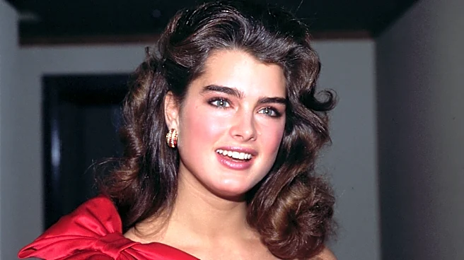 Pics Of Brooke Shields That Show Why She Was The 'Face Of An Entire Decade' In The '80s