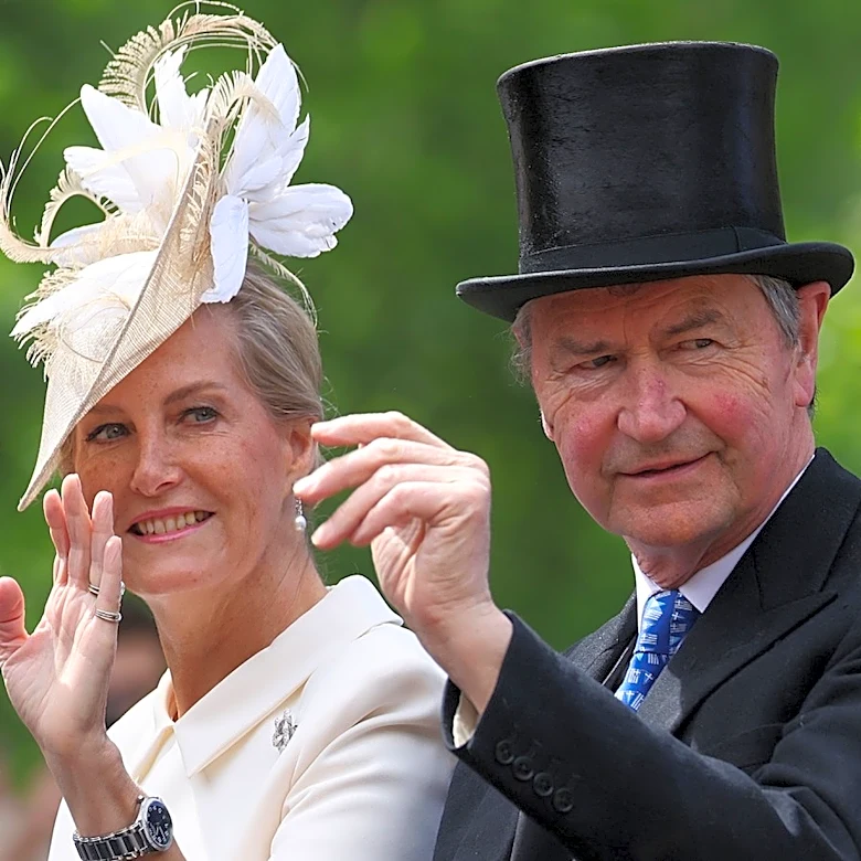 Sophie, Duchess Of Edinburgh's Blended Gray Updo Is The Perfect Transitional Hair Look