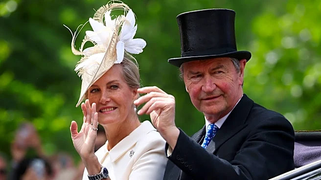 Sophie, Duchess Of Edinburgh's Blended Gray Updo Is The Perfect Transitional Hair Look
