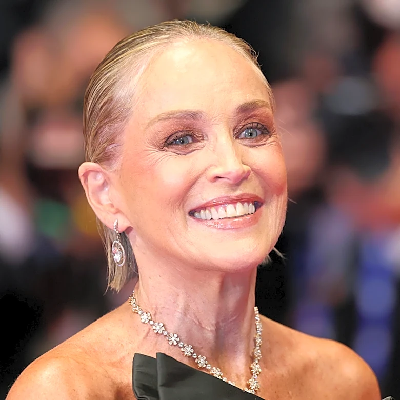 Sharon Stone Has Mastered The Art Of A Subtle Gray Hair Transition