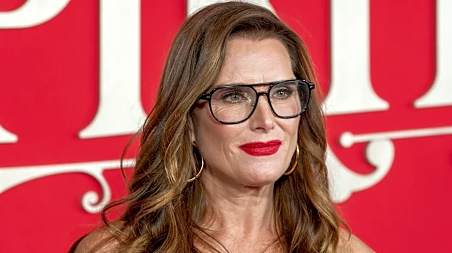 Not Andre Agassi, Not Chris Henchy: This Star Gave Brooke Shields Her 'Best Kiss' Ever