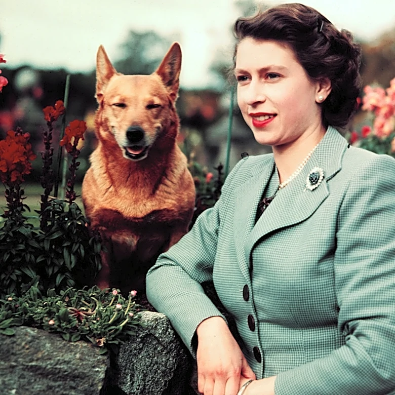 Queen Elizabeth's Style Evolution, In Photos