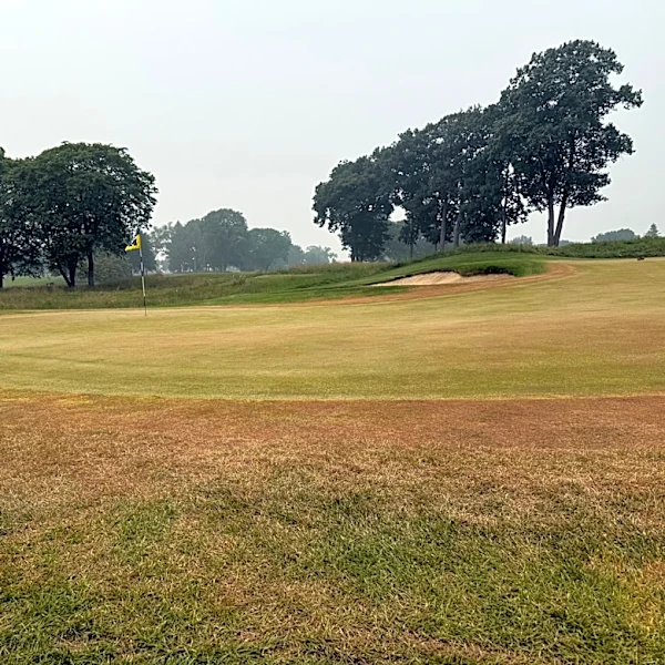 University of Michigan Golf Course closes greens after suspected vandalism