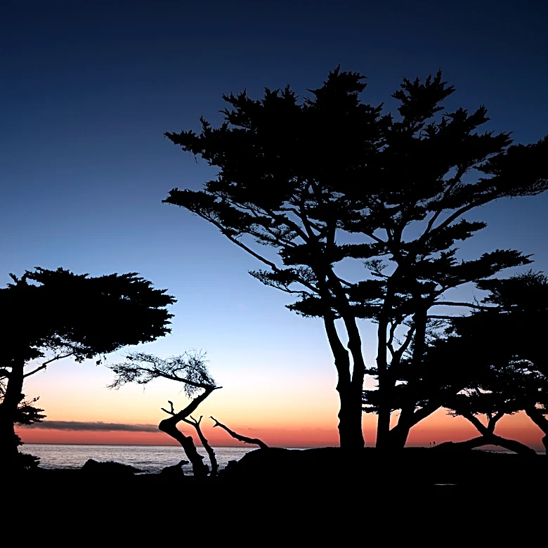 House passes bill to make daylight saving permanent. What it could mean for golf?
