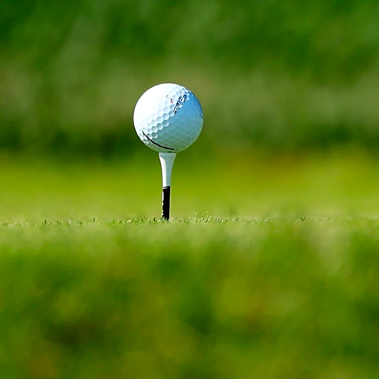 Fantasy football loser forced to play golf without a ball is ultimate punishment