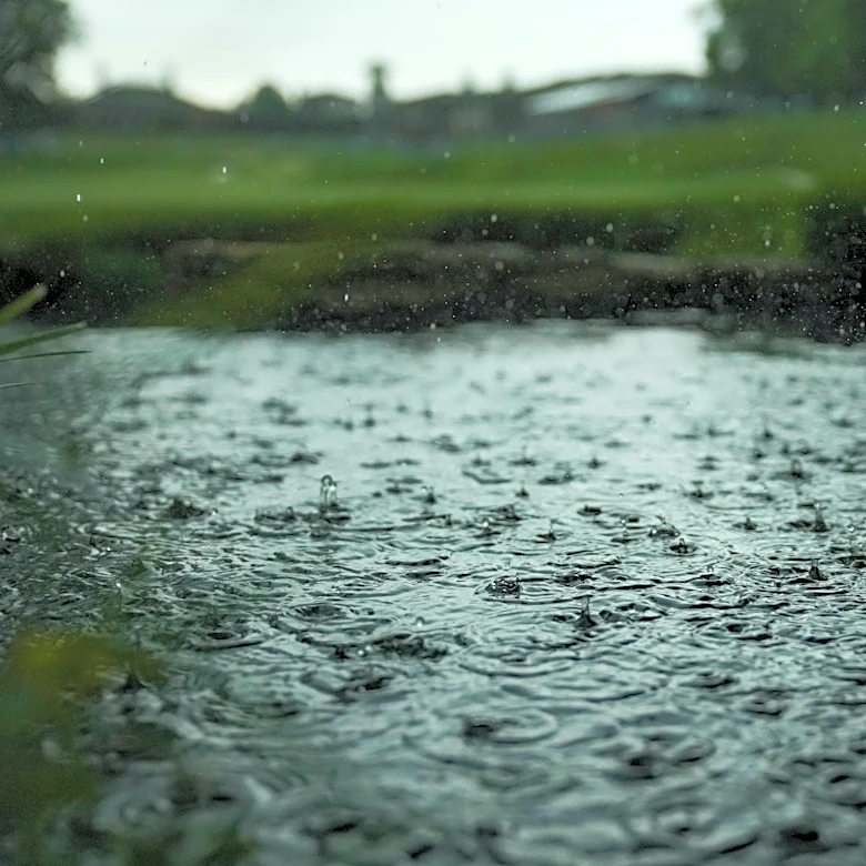 Wyndham Championship weather delay: When will play resume on Saturday?
