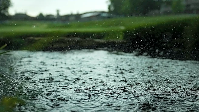 Wyndham Championship weather delay: When will play resume on Saturday?