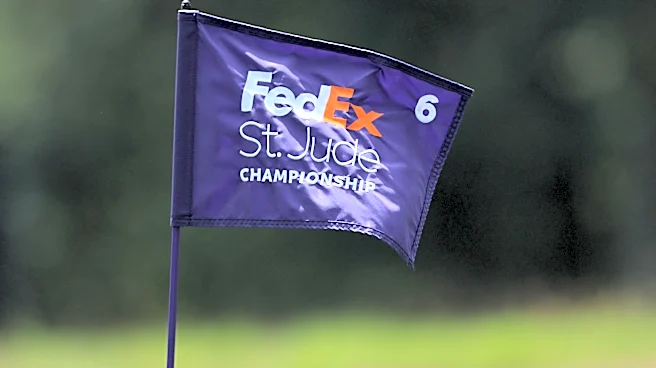 2026 FedEx St. Jude Championship payout, purse: How much does each golfer get?