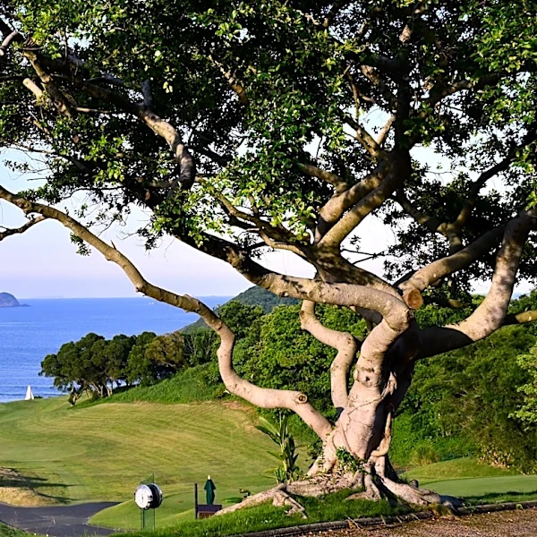 LPGA adds new Hong Kong stop to spring Asia swing in 2027